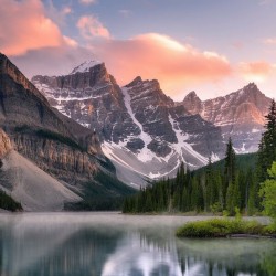 mountain and tree