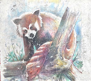 Bear by Binod Dawadi