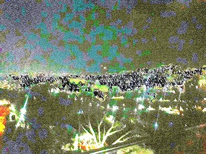 City Scape At Night 100 by Binod Dawadi