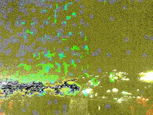 Dawadi Binod Cityscape 85