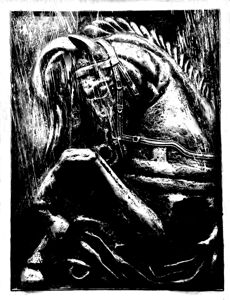 Horse by Binod Dawadi