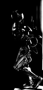 Zowie by Binod Dawadi