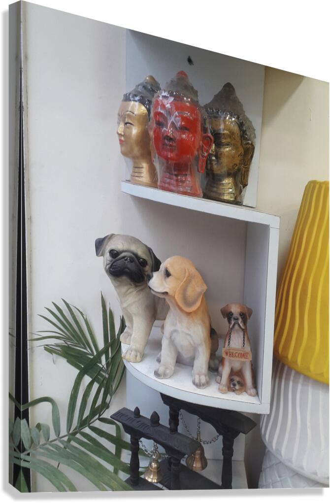 20230331 142021 Canvas Print