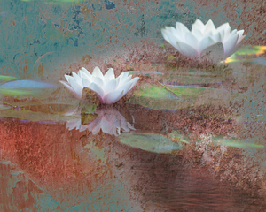 Textured Waterlily 