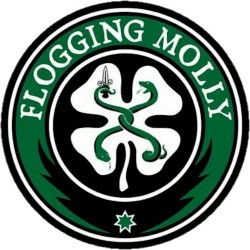 dropkick murphys 31