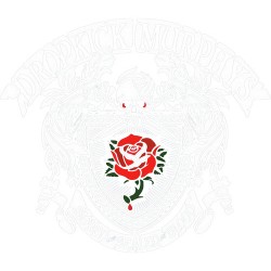 dropkick murphys 39
