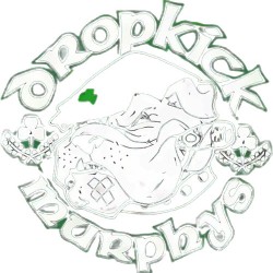 dropkick murphys 45