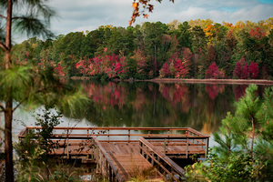 Newport News Park 114