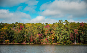 Newport News Park 108