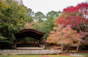 Newport News Park 100