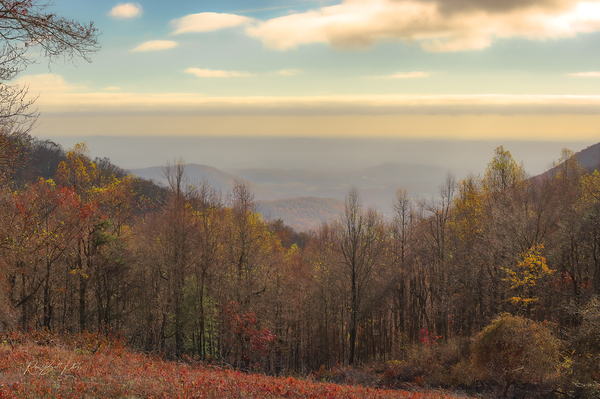 Skyline Drive 2024 by RawBeltPhotos