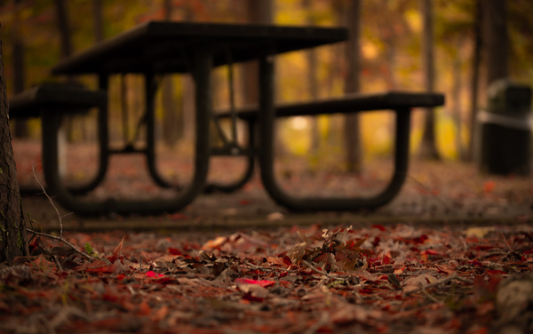 Newport News Park 111 by RawBeltPhotos