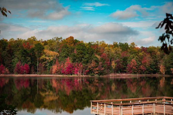 Newport News Park 117 by RawBeltPhotos