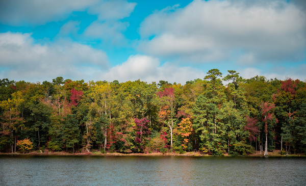 Newport News Park 108 by RawBeltPhotos