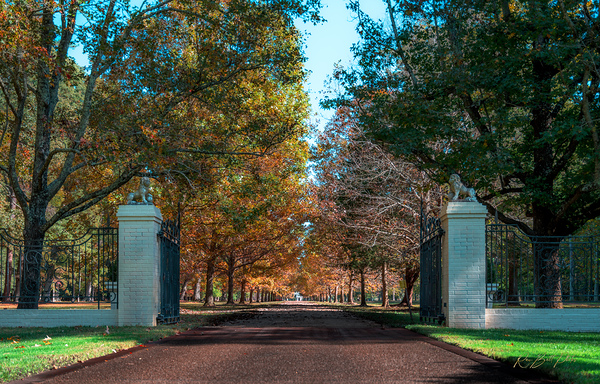 Longest Yard 3914 by RawBeltPhotos