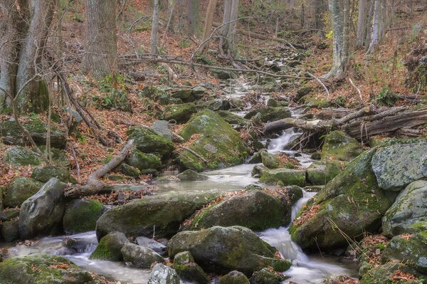 Shenandoah 3 by RawBeltPhotos