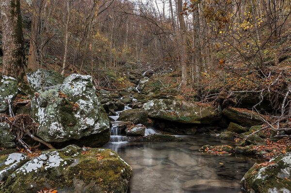Shenandoah 2 by RawBeltPhotos