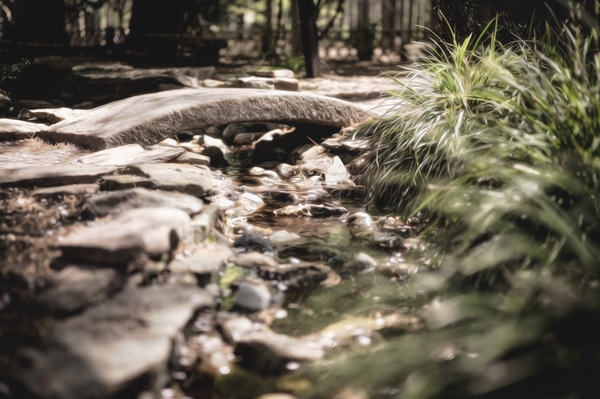 Red Wing Park VA by RawBeltPhotos