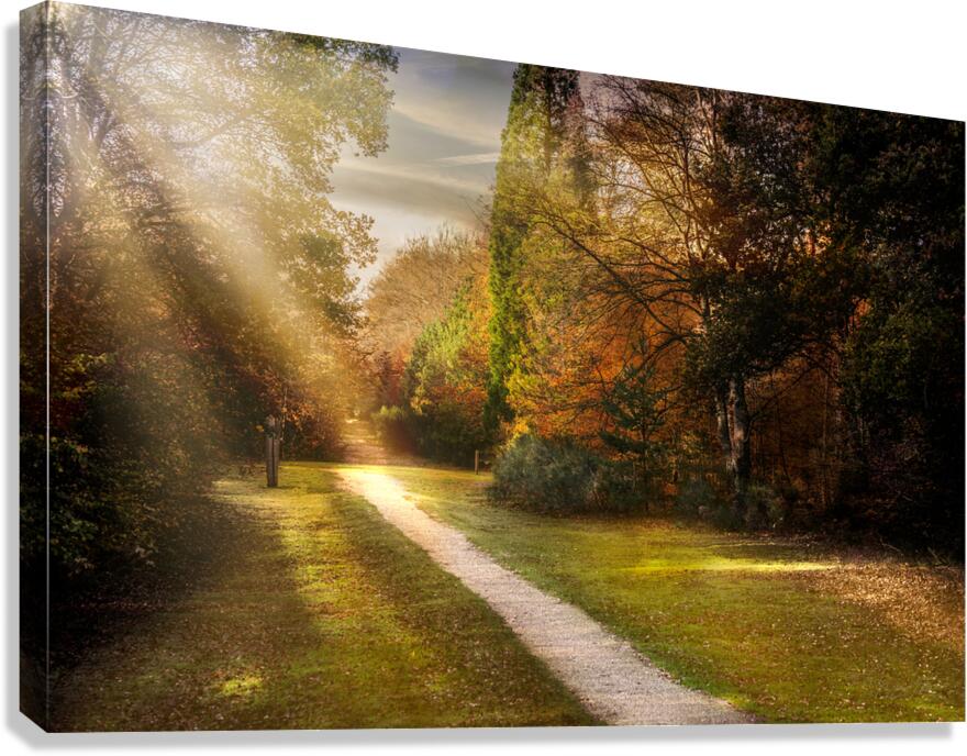 Brandon UK path Canvas Print