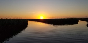 Sunset over Bayou