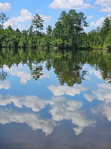 20240519 144959 Original