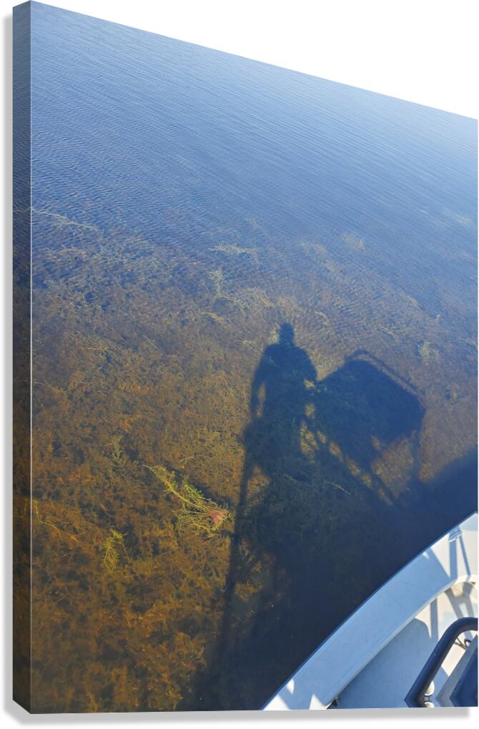 Shadows Canvas Print