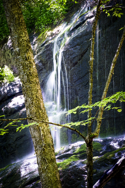 Bear Den Campground Waterfall VERTICAL Print