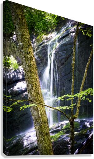 Bear Den Campground Waterfall VERTICAL Canvas Print