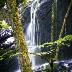 Bear Den Campground Waterfall VERTICAL
