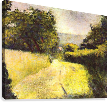 Path Canvas Print