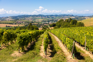 Piedmont region Italy. Countryside landscape in Langhe area