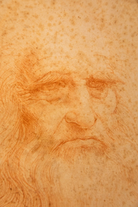 Leonardo da Vinci portrait on handmade cotton paper Royal Libra