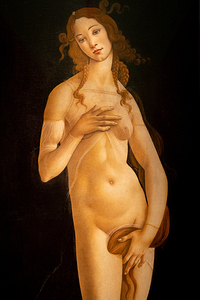 The painting of Venus by Sandro Botticelli oil on canvas 1490