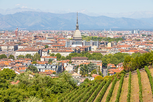 Turin Italy - panorama with Mole Antonelliana monument wineyar