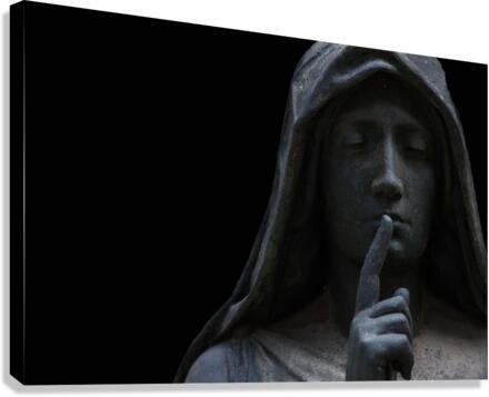 Silence Canvas Print