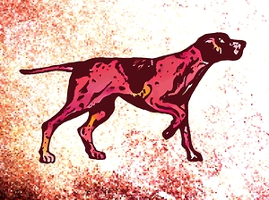 English Pointer Dog