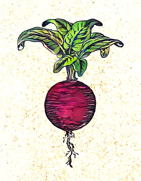 Beet Print