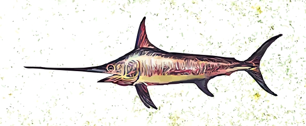 Swordfish Print