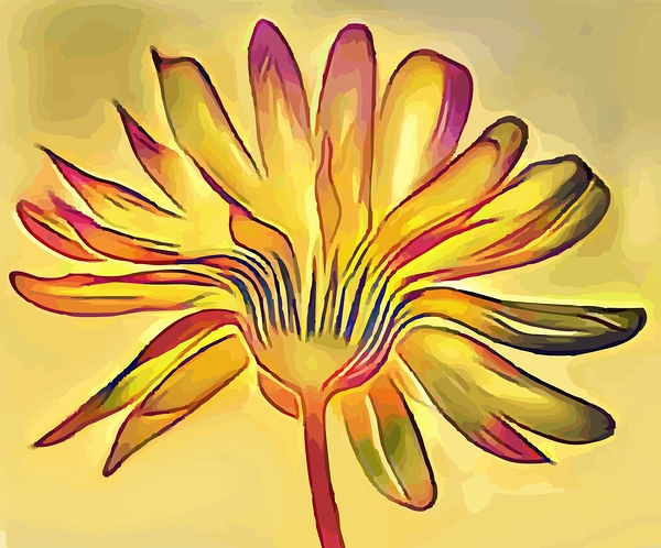 Calendula Print