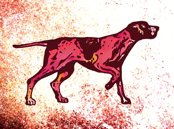 English Pointer Dog Print