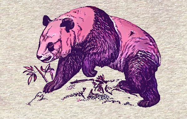 Panda Print