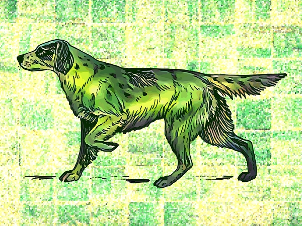 Setter Dog Print