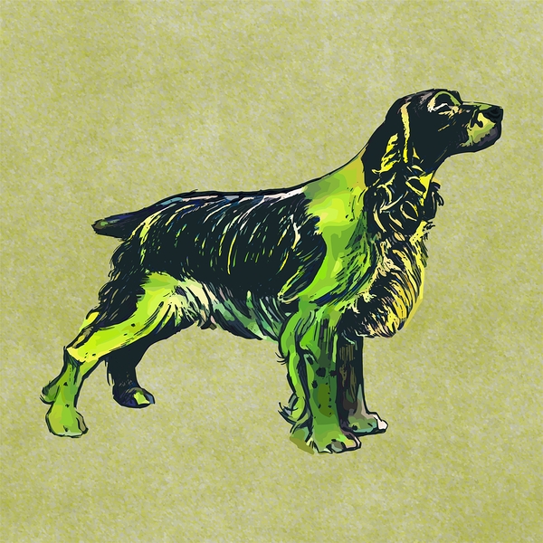 Spaniel Dog Print