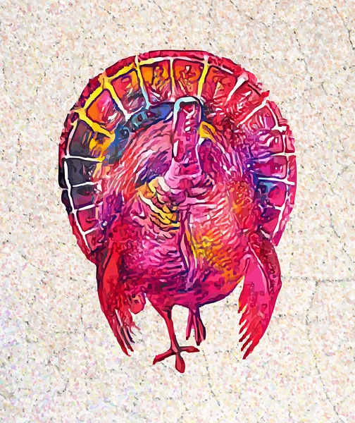 Turkey Print