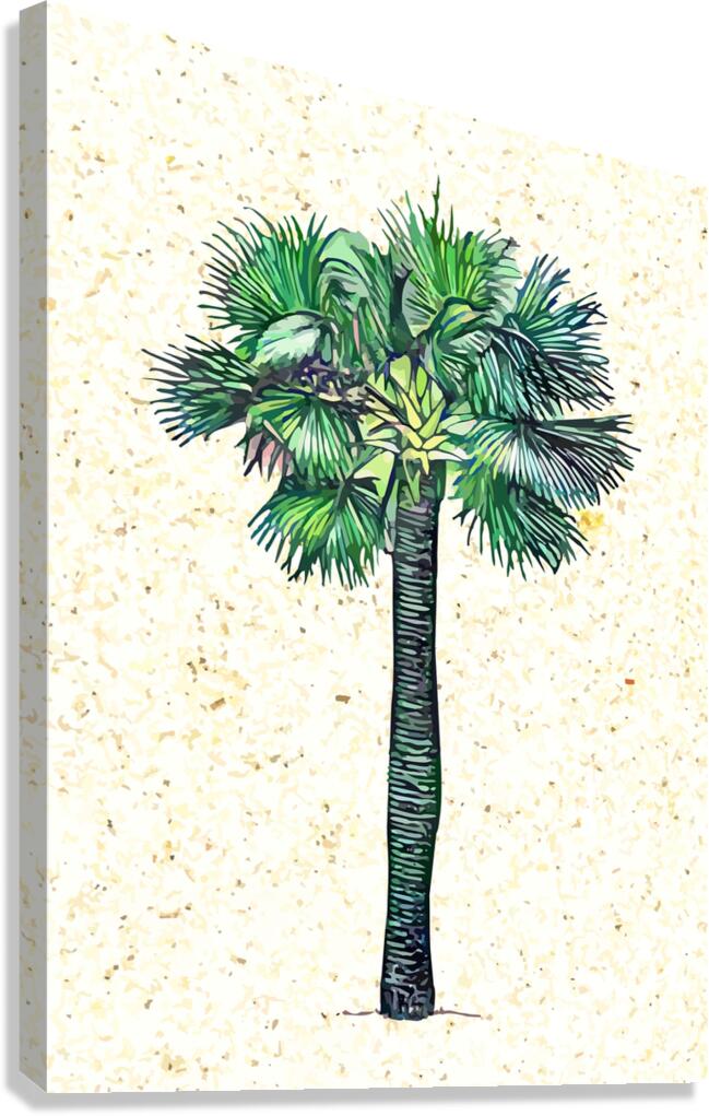 Palm tree Canvas Print