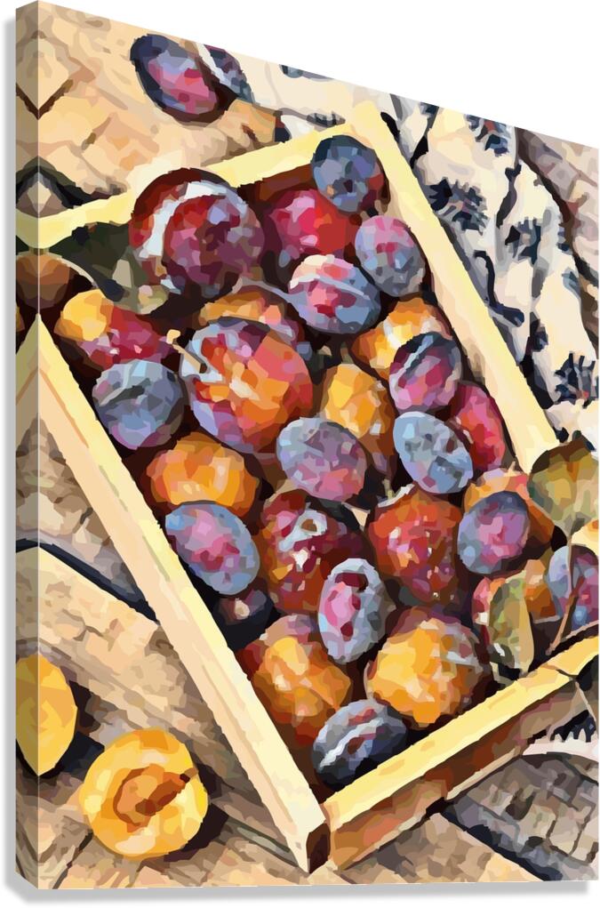 Plums Canvas Print