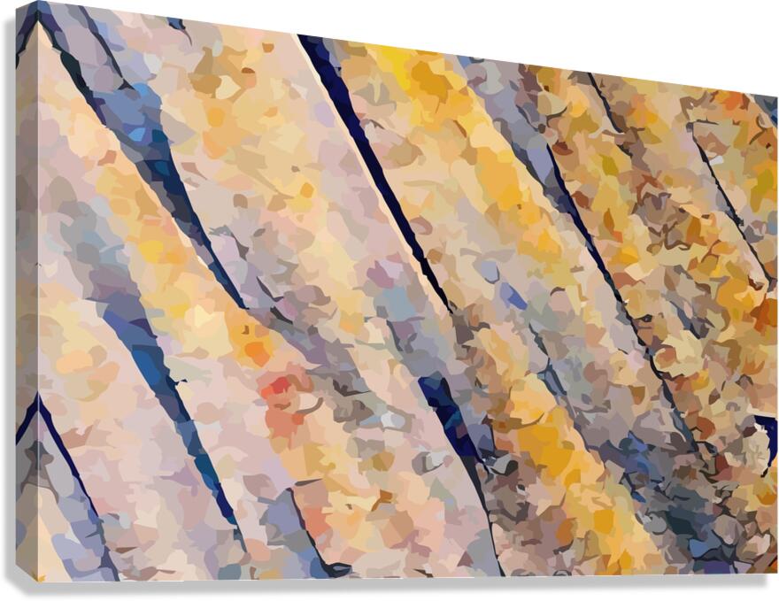 Abstract 14021 Canvas Print