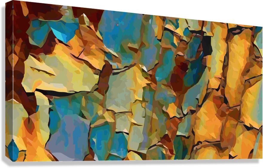 Abstract 14079 Canvas Print