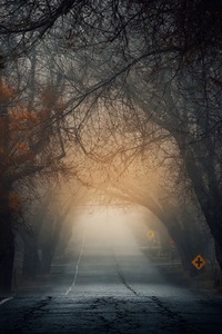 Golden Tunnel