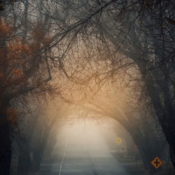 Golden Tunnel